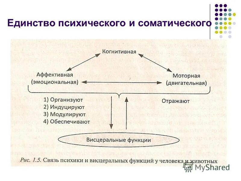 психосоматика классификация психосоматических расстройств. психическое соматическое. причины психосоматических расстройств. классификация психических нарушений. психогенные психические расстройства.