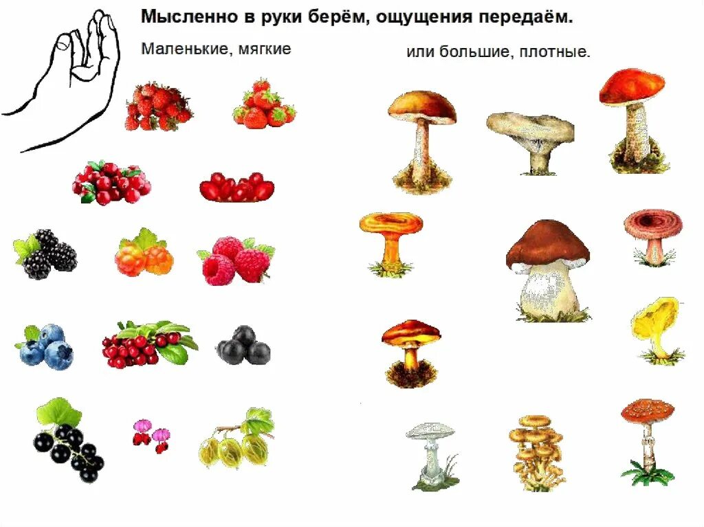 грибы задания для дошкольников. грибы задания для дошкольников. грибы для дошкольников. осенние листочки и грибочки. найди пару для каждого гриба.