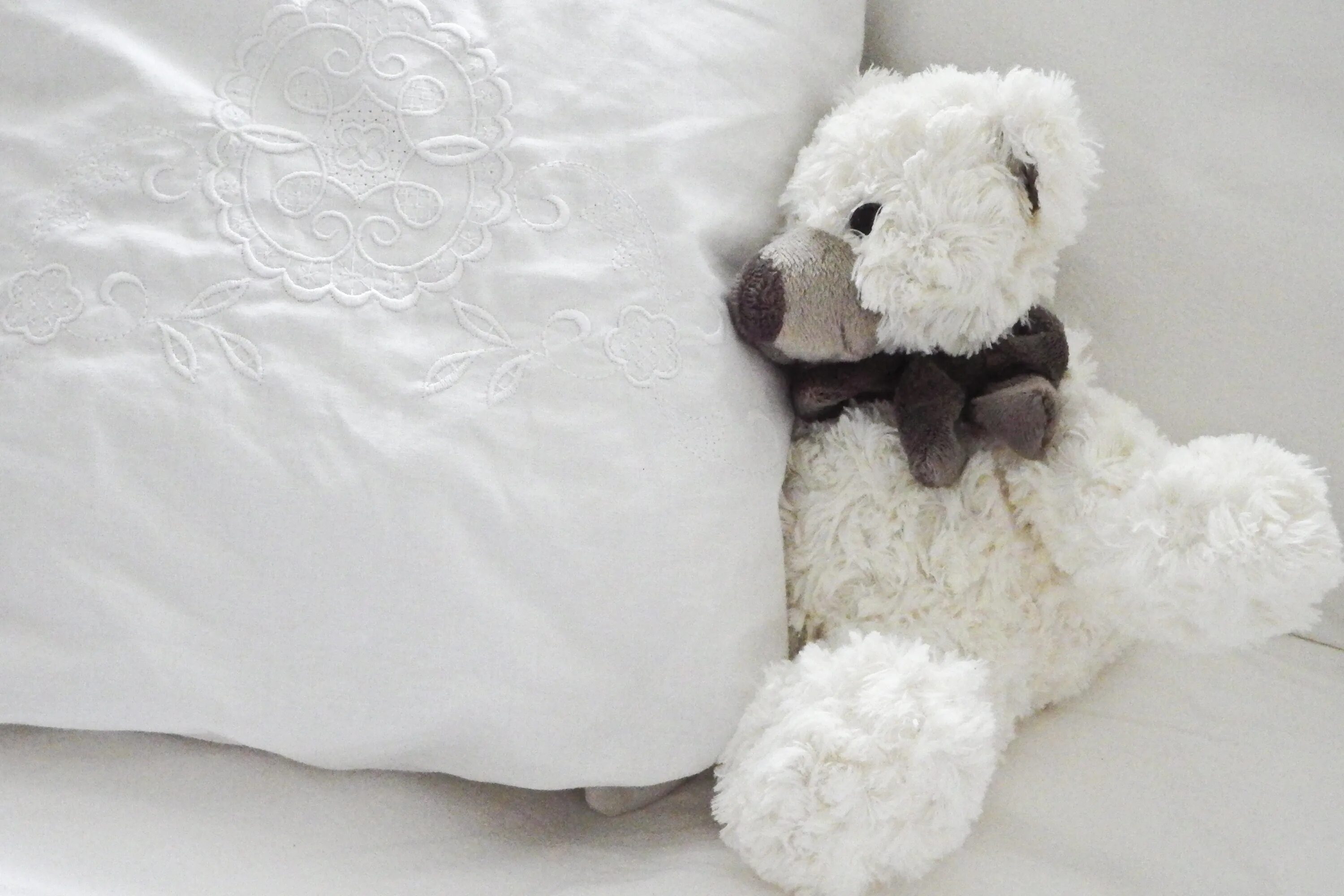 Тедди белый. Плюшевый мишка белый. Плюшевая игрушка на кровати. Медведи плюшевые Тедди белый. Кровать "мишки".