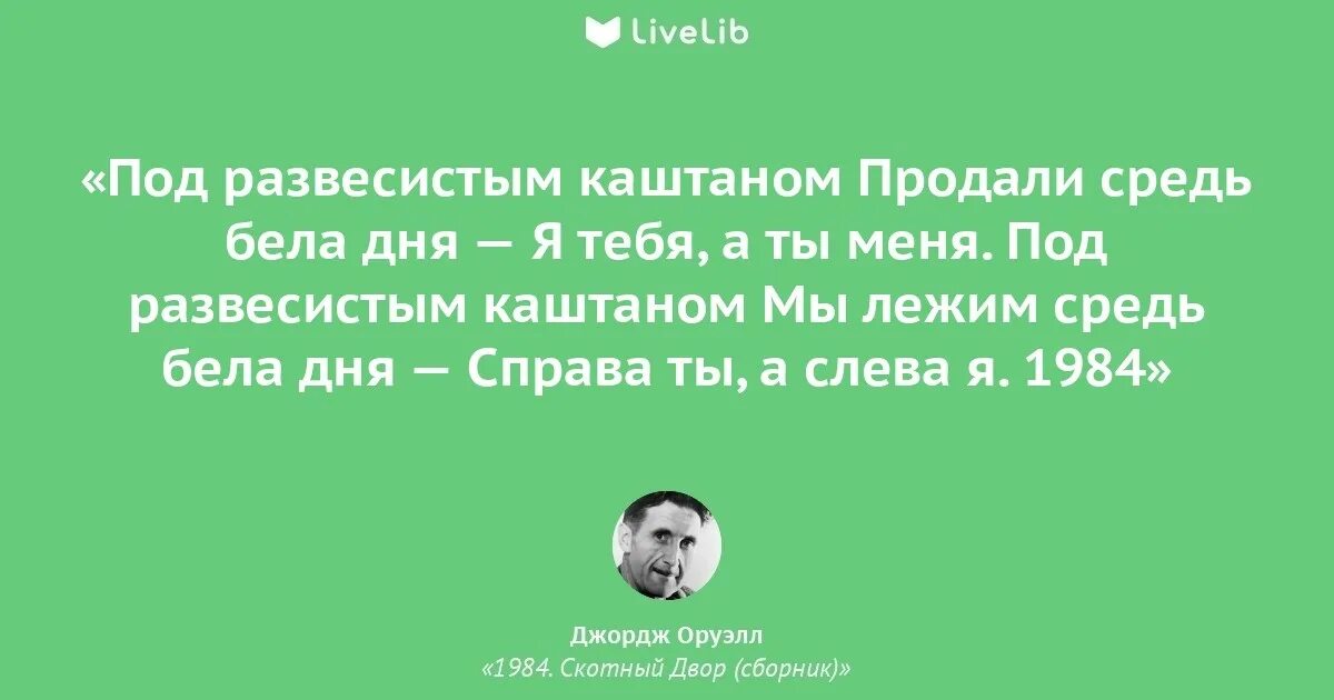Цитаты из книги оруэлла. Джордж оруэлл 1984 скотный двор. цитаты из 1984 джордж оруэлл. 1984 джордж оруэлл цитаты из книги. 1984 цитаты.