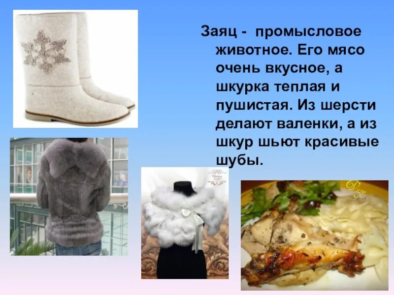 Как делают шерстяные вещи 2 класс. Изделия из шерсти окружающий. изделия из шерсти по окружающему миру. предметы из шерсти окружающий. что делают из шерсти 2 класс.