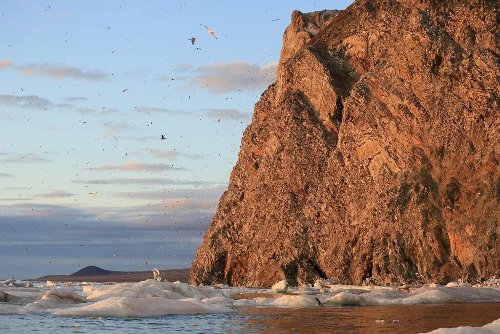 Деминов рыркайпий белый медведь. Покажи чукотское море. Покажи чукотское море. Чукотское море. Покажи чукотское море.