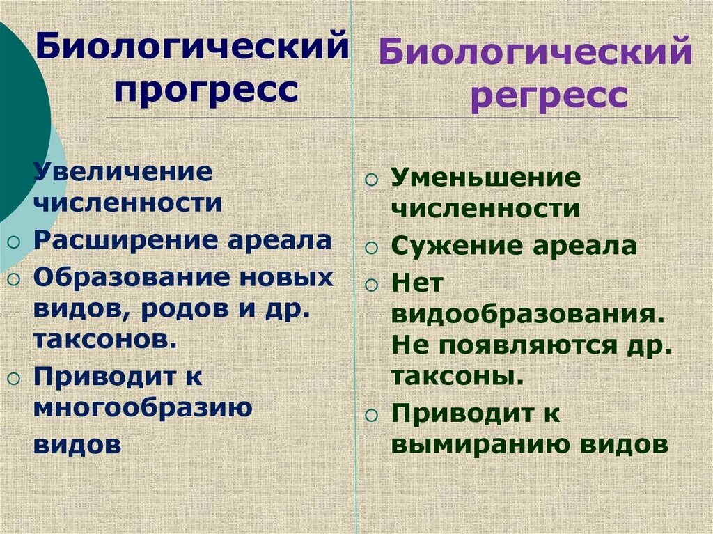 Суть биологического прогресса