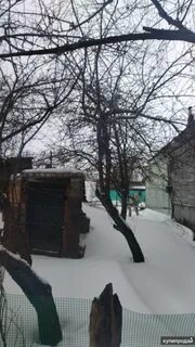 Погода в пятовске стародубского р на брянской