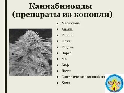 Как писать от имени тгк