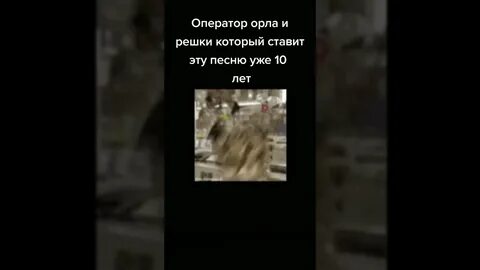 Песня я узкий