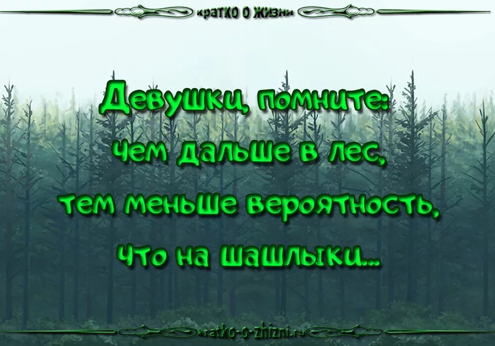 Текст чем дальше тем лес становился гуще. Чем дальше в лес. Чем дальше в лес тем. Чем дальше в лес шутки. Чембальше, тем в лес.