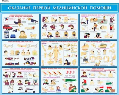 Оказанию первой помощи в правильном порядке