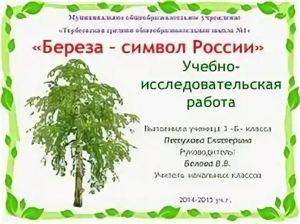 График работы березки