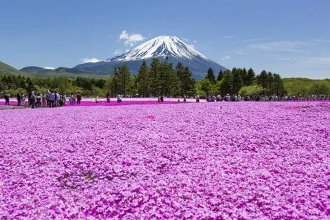 Where beautiful