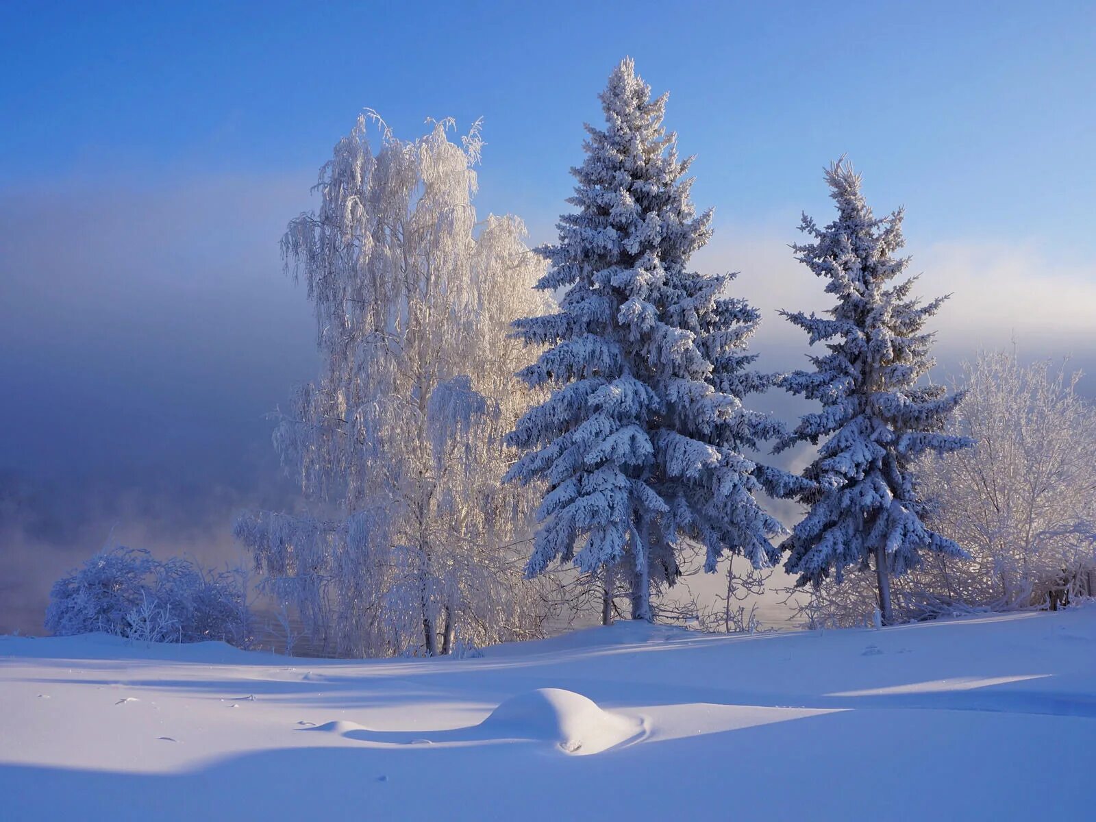 Январские сугробы. Зимняя природа. Зима пейзаж. Морозный день. Декабрь природа.