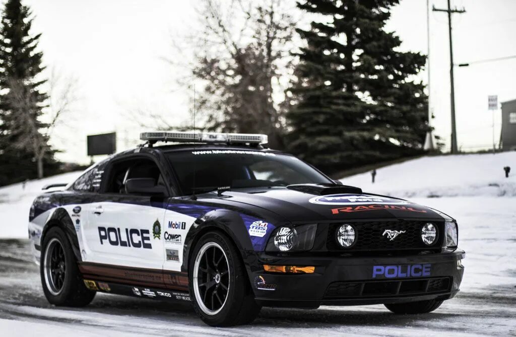 Ford mustang police interceptor. Ford mustang v полиция. Форд мустанг gt полицейский. Полицейский форд мустанг. Ford mustang saleen s281 extreme.