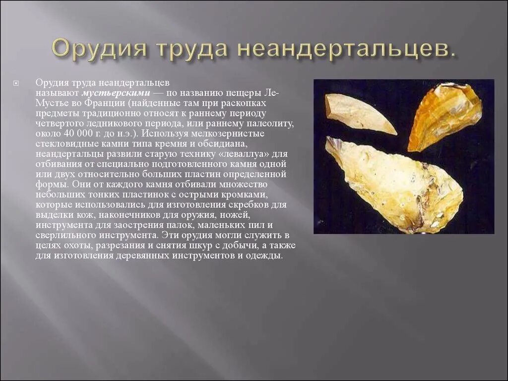 Орудия труда древних людей неандертальцев. Орудия труда неандертальцев. Орудия труда австралопитеков. Homo sapiens орудия труда. Каменные орудия кроманьонцев.