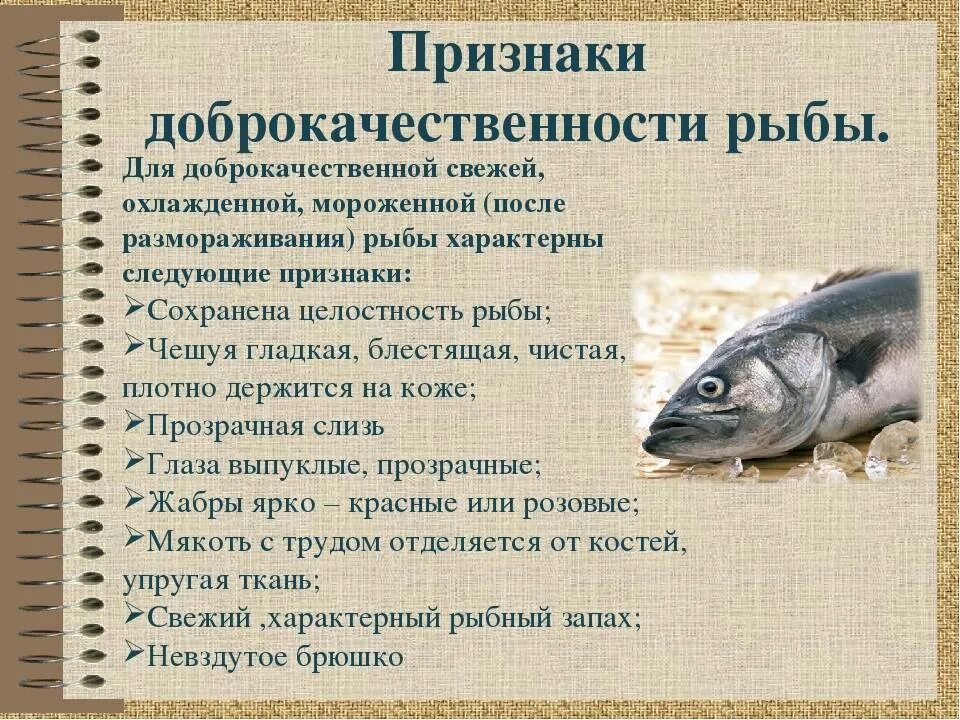 Какая женщина нужна рыбам. Основной признак доброкачественности рыбы. Признаки качества рыбы. Признаки доброкачественной рыбы. Качество охлажденной рыбы.