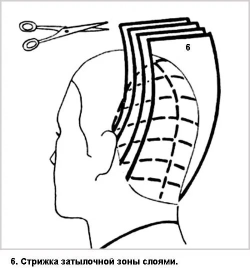 Стрижка техника выполнения стрижки. Стрижка маллет технология выполнения. Стрижка маллет мужская схема. Маллет стрижка схема стрижки мужские. Схема стрижки Каскад.