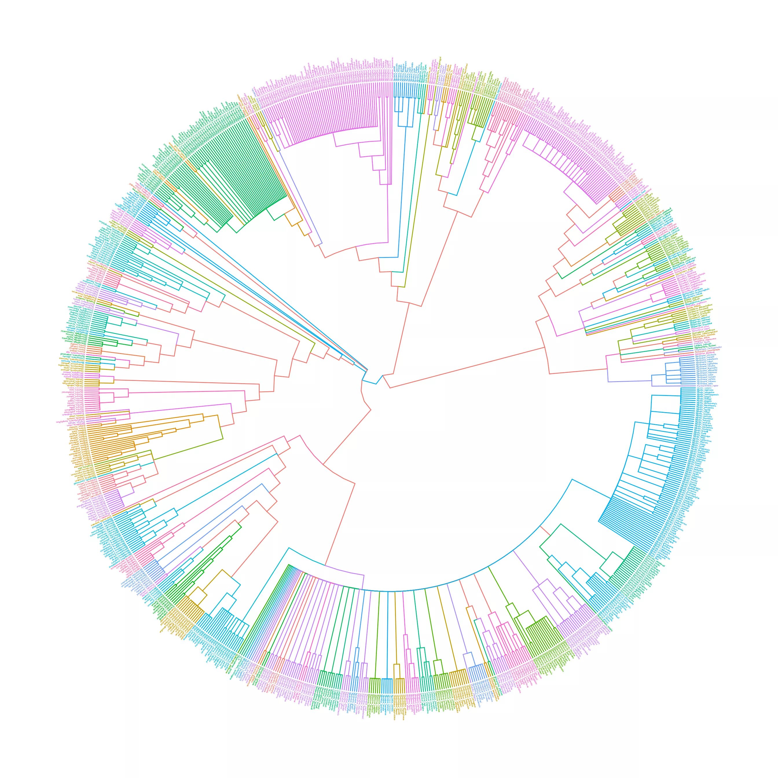 R node