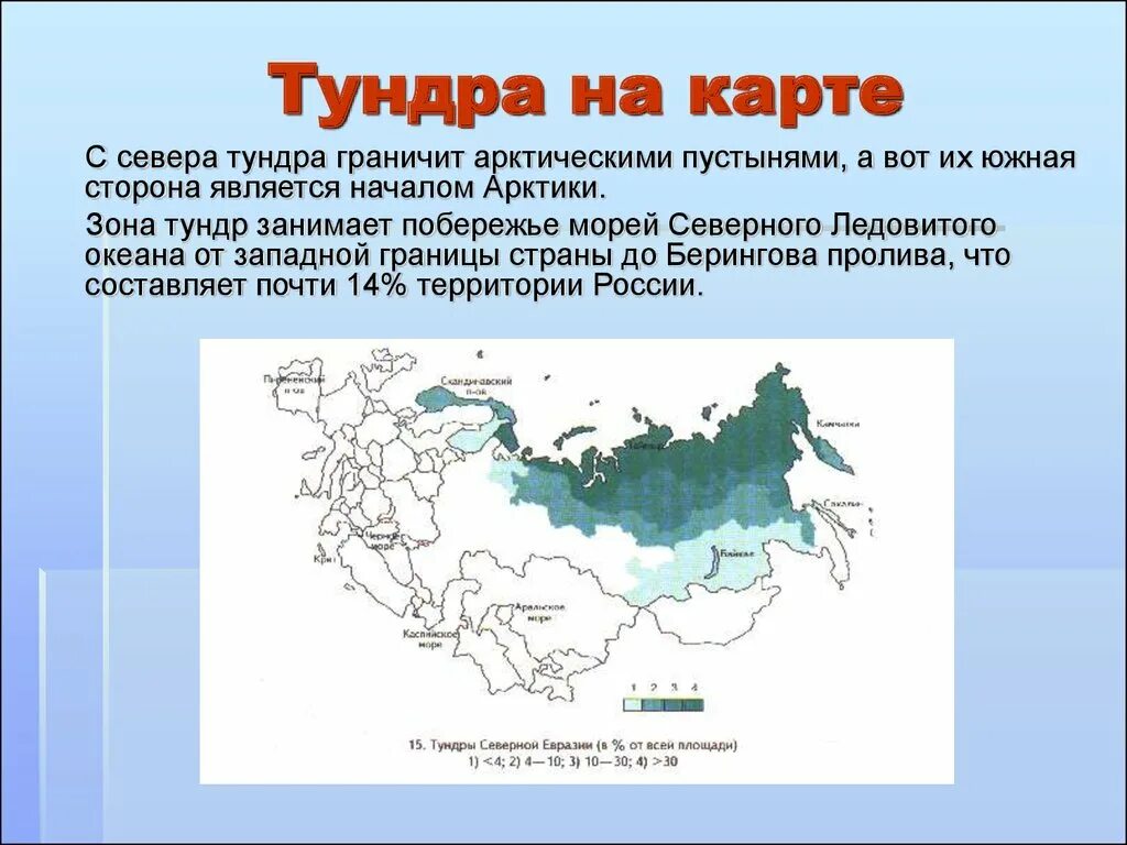 Зона тундры расположена между зоной и зоной. Географическое положение зоны арктических пустынь на карте. Географическое положение тундры в России карта. Тундра на территории России карта. Природная зона тундра географическое положение.