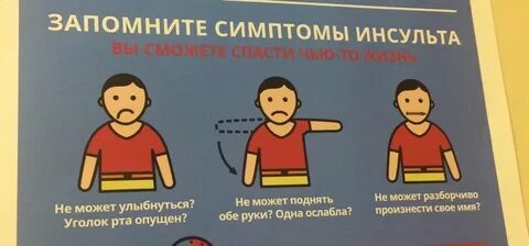 Признаки инсульта у собаки