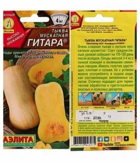 Вкусные сорта тыквы отзывы
