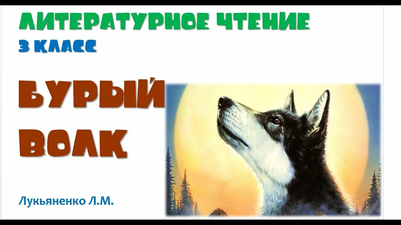 Произведение бурый волк. Бурый волк Джек Лондон. Бурый волк Джек Лондон иллюстрации. Рассказ бурый волк. Дж Лондон бурый волк.