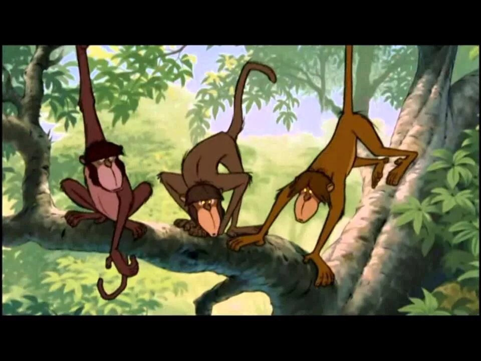 Киплинг Маугли обезьяны. Бандерлоги книга джунглей. Бандар лог