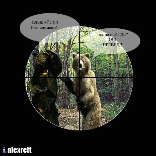 Михалков мем. Жаль мужика. Ладно снимаю. Ладно снимаю. Превед метро 2033.