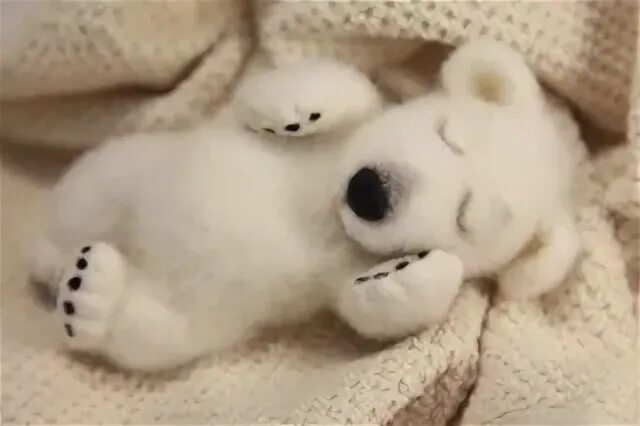 Спокойно ы. Спокойной ночи, Медвежонок!. Спокойной ночи мишка. Сладких снов Медвежонок. Спокойной ночи белый медведь.