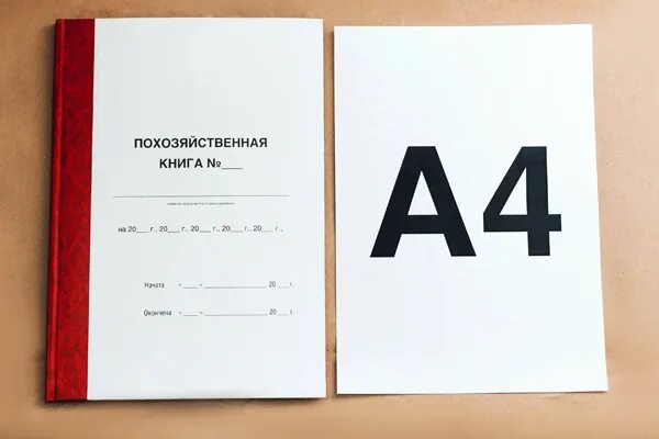 Похозяйственная книга администрации. Похозяйственная книга. Книга похозяйственного учета. Форма похозяйственной книги. Похозяйственная книга образец.