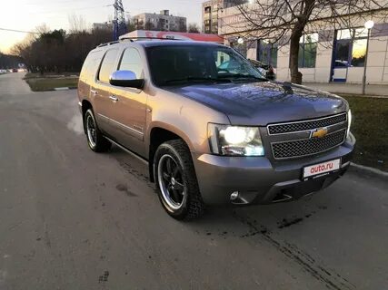 Авито тахо
