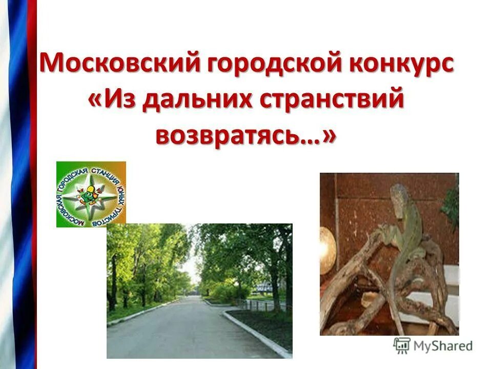 Из дальних странствий возвратясь надпись. Из дальних странствий возвратясь какой то. Из дальних странствий возвратясь. Из дальних странствий возвратясь какой то. Из дальних странствий возвратясь.
