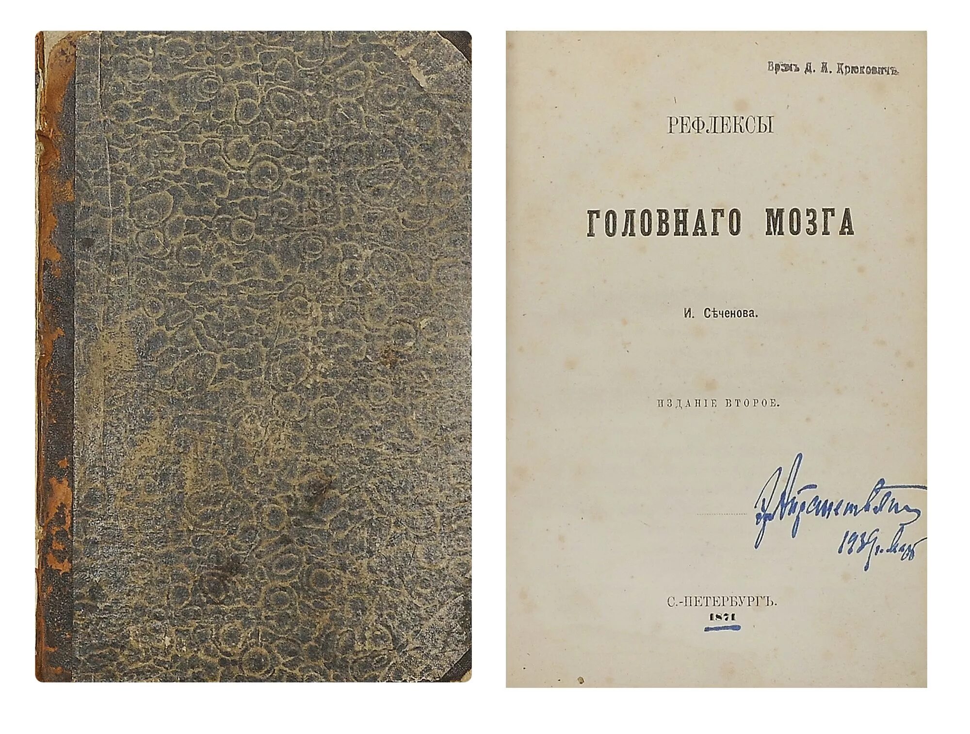 Рефлексы головного мозга Сеченов книга. Рефлексы головного мозга Сеченов 1863. Рефлекс ыголрвного мозга Сеченова.