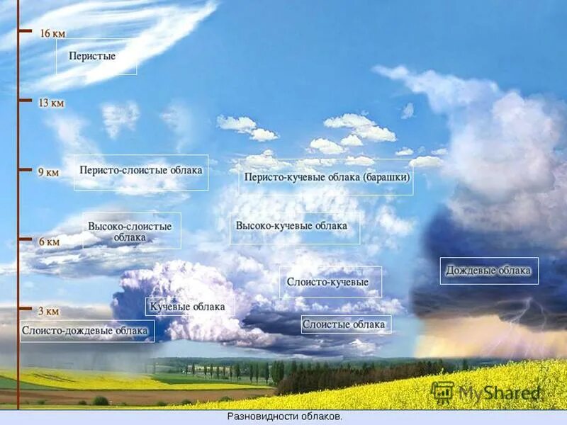 тропосфера в умеренных широтах. уровень облаков над землей. форма облаков и их названия. типы облаков в тропосфере. уровни облаков.