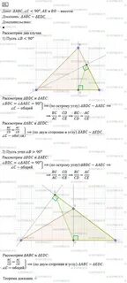 Геометрия 31