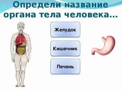Чешется наружные органы
