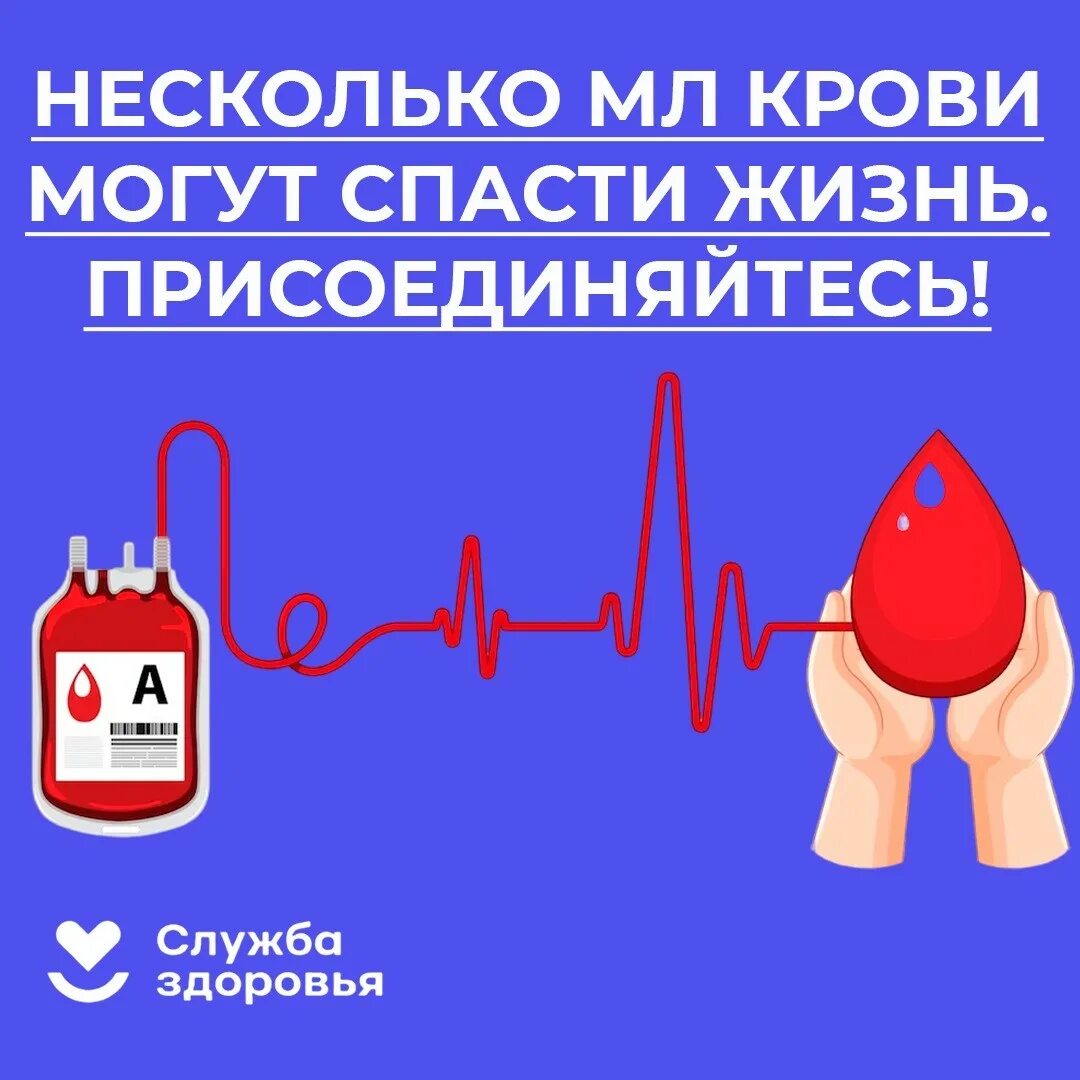 Неделя популяризации донорства крови. Неделя донора крови. Популяризация донорства крови. Подготовка к донорству крови. Подготовка к сдаче крови донором.