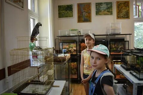 Детский сад живой