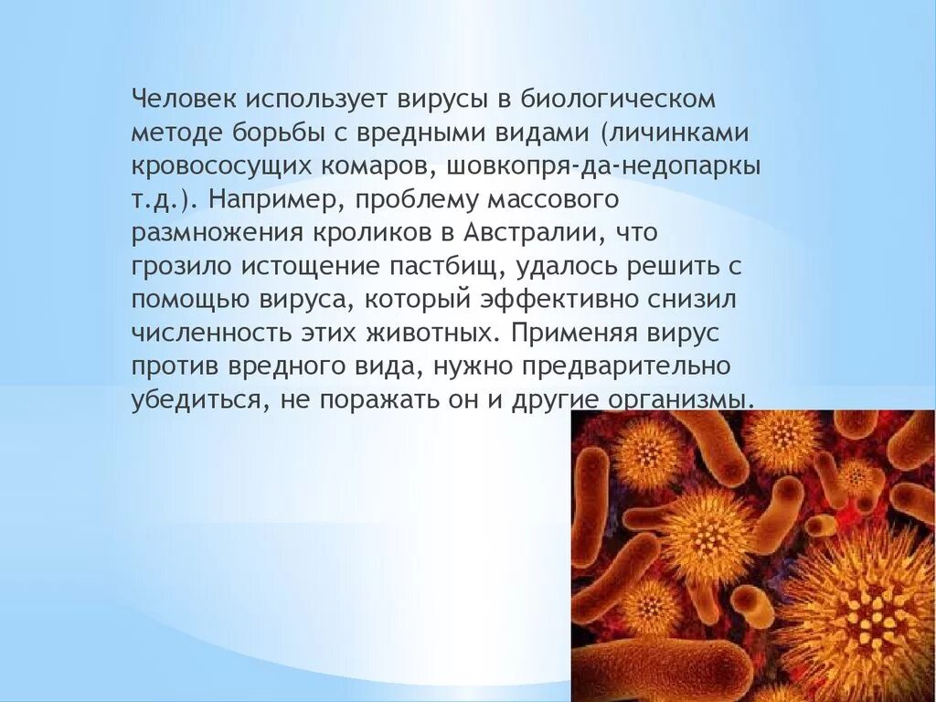 Вирусов в природе и жизни человека. Роль вирусов в природе. Вирусы в природе и жизни человека. Роль вирусов в жизни человека. Значение вирусов в природе.