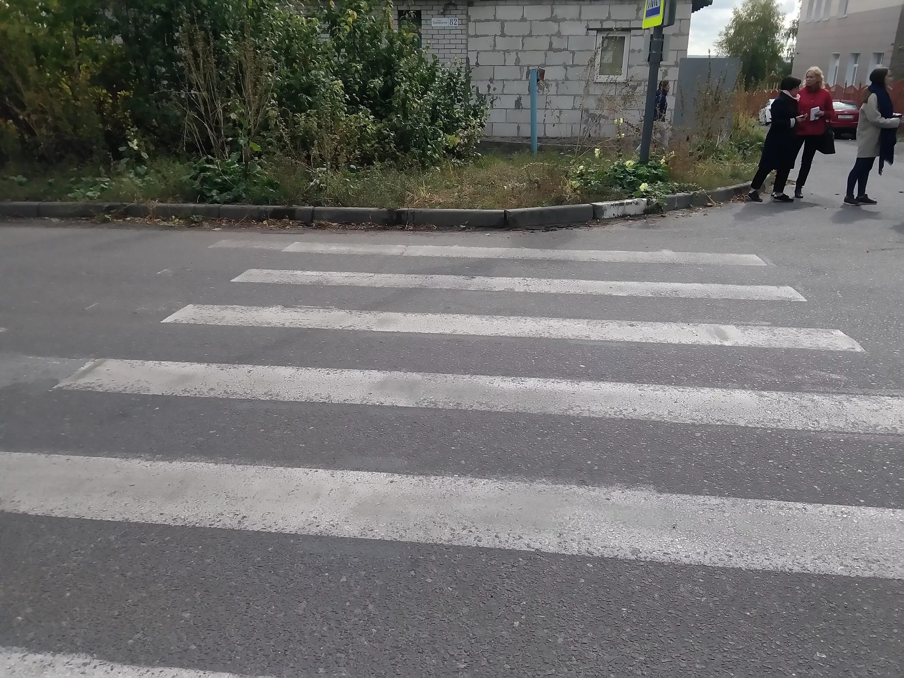 проверить пешехода