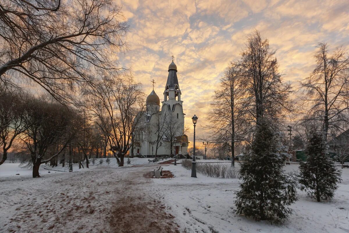 дубки сестрорецк зимой. парк дубки сестрорецк зимой. сестрорецкий курорт зима. сестрорецк сосны залив. парк сестрорецка зимой.