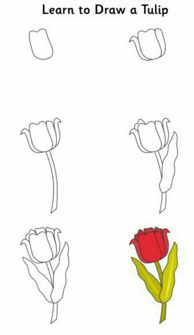 Learn to draw