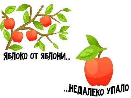 Яблоко от яблони 2