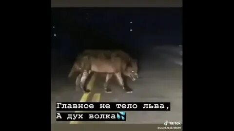 Главное дух