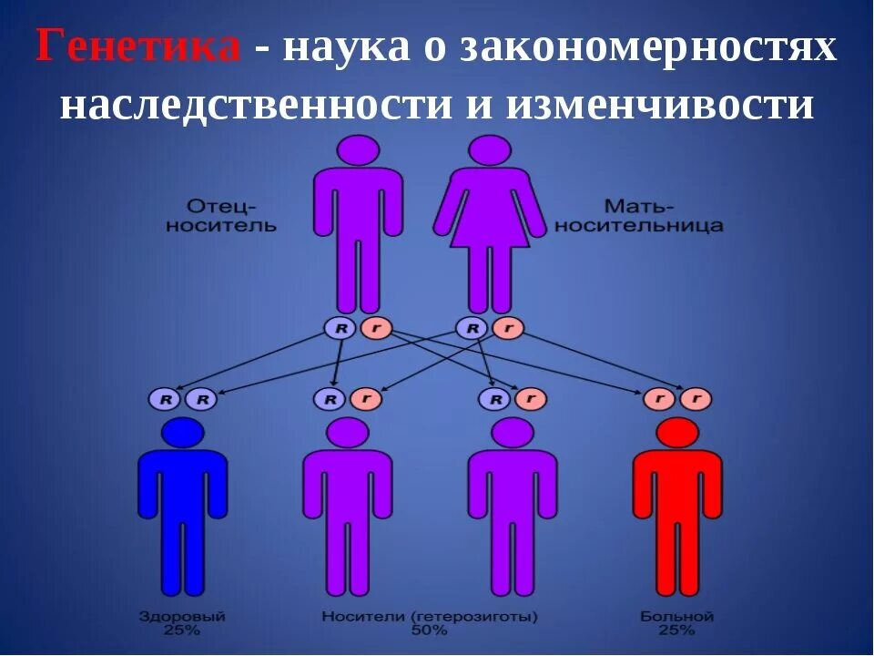 Наследственный форум. Генетика человека. Генетика наследственность. Генетика человека наследственность. Гены по наследству.