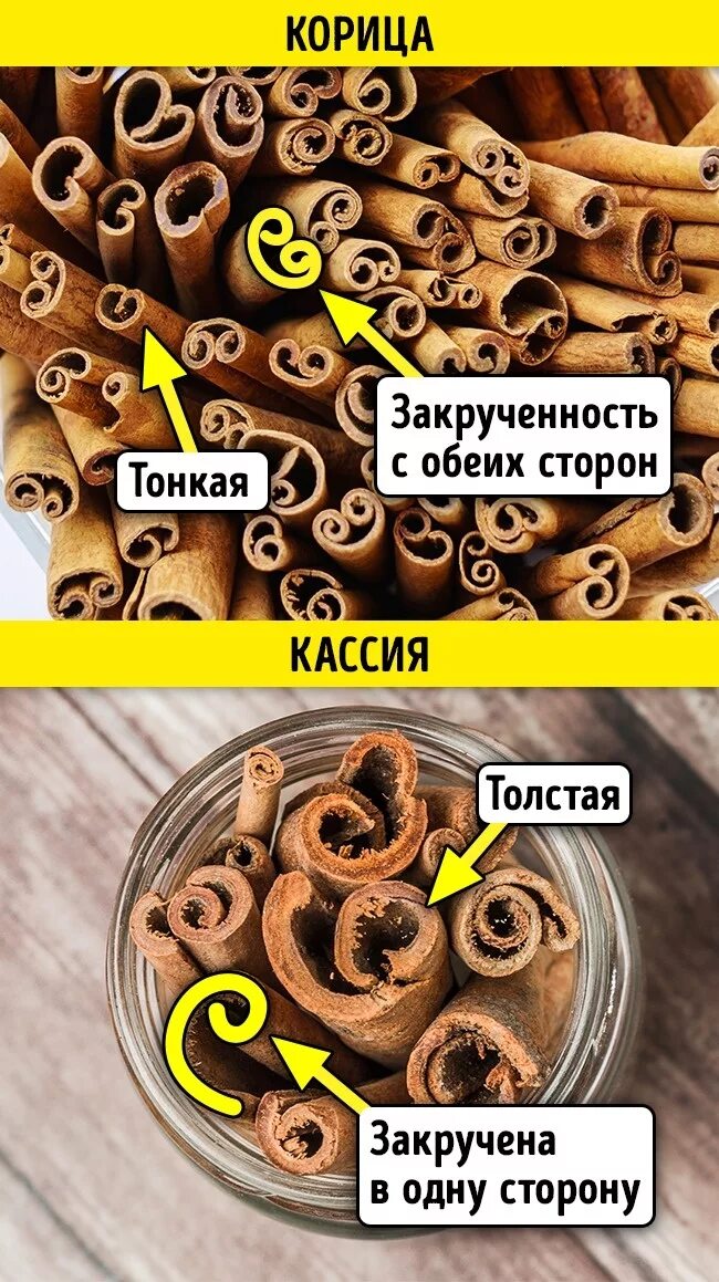 Кассия как отличить. Корица. Корица и Кассия отличия. Отличить кассию от настоящей корицы. Корицы от кассии в палочках.