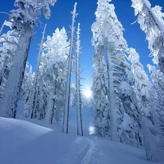 Под сказку сна