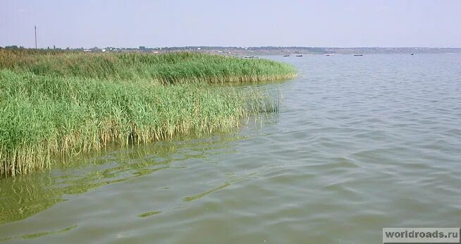 Пляж юрьевка азовское море. Петрушино пляж баунти. Азовское море деревня приморка. Приморка ростовская область пляж. Приморка отдых на азовском море.