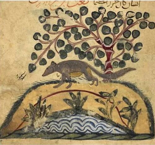 Бестиарий борхеса. Pathfinder 2 набор фишек. Гуль существо лавкрафта. Средневековый бестиарий гиена. Катоблепас ведьмак 3.