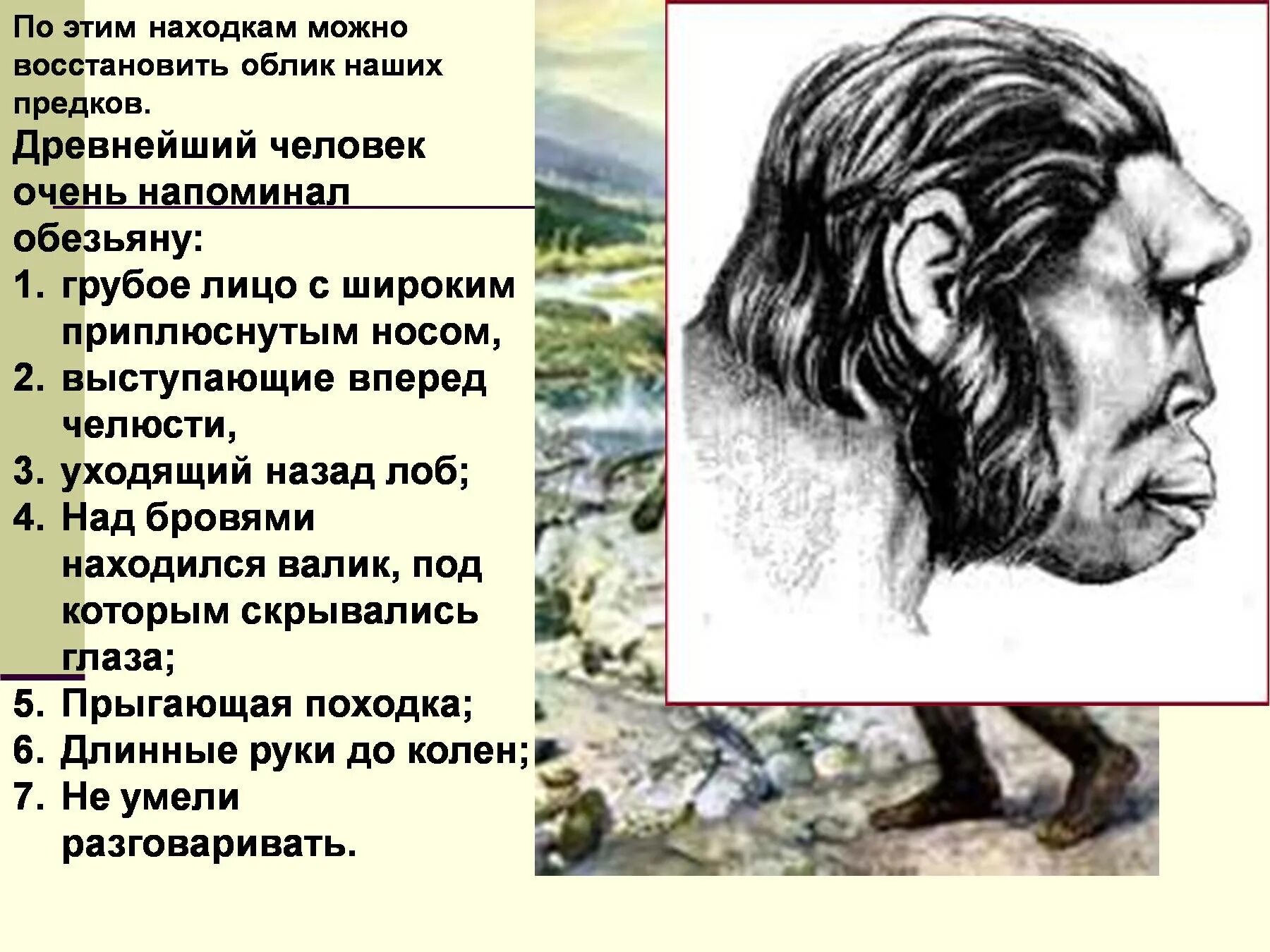 Роль предков в нашей жизни. Древнейшие люди 5 класс. Древнейшие люди презентация. Описание древнего человека. Облик древнего человека.