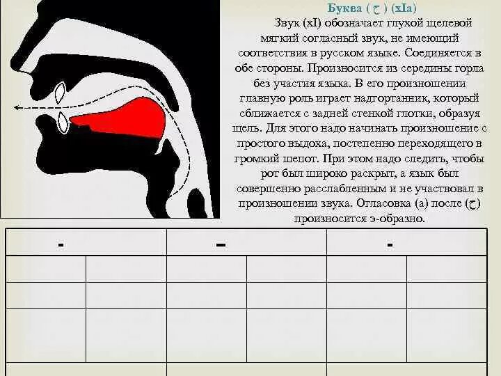 Горловые буквы. Артикуляция арабских букв. Правильное произношение арабских букв. Правильное произношение букв арабского алфавита. Места произношения арабских букв.