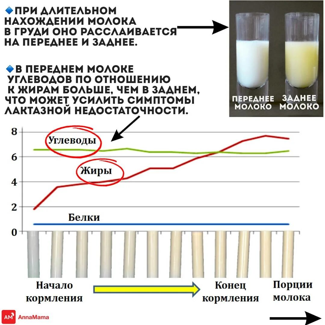 Можно ли взрослому грудное молоко. Переднее и заднее молок. Perednee i zadnee Moloko. Переднее и заднее грудное молоко. Переднее молоко.